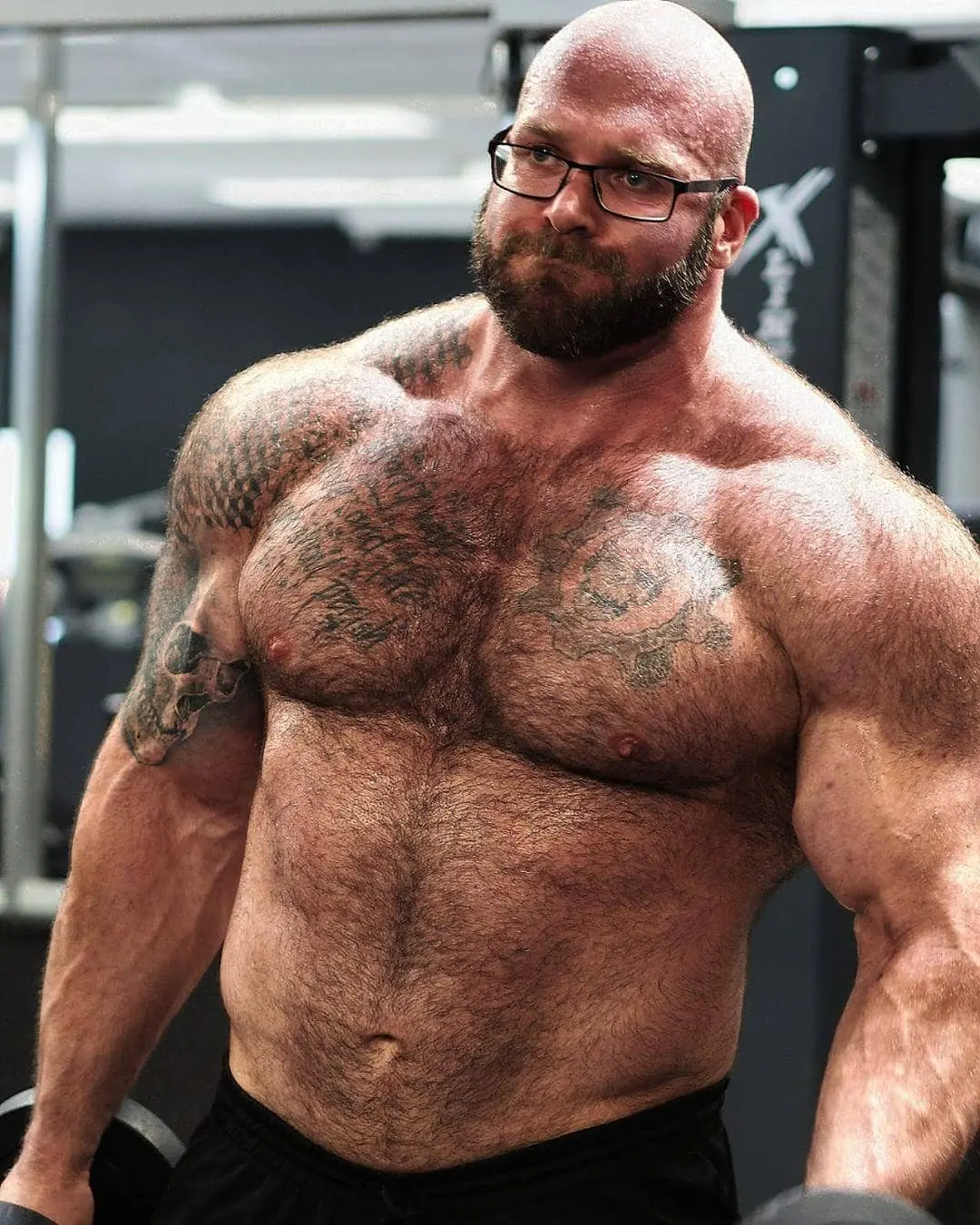 Oxiplex XT LABS best price, Oxiplex XT LABS results, Oxymetholone for sale, buy oxymetholone in the USA, buy best oxymetholone xt labs