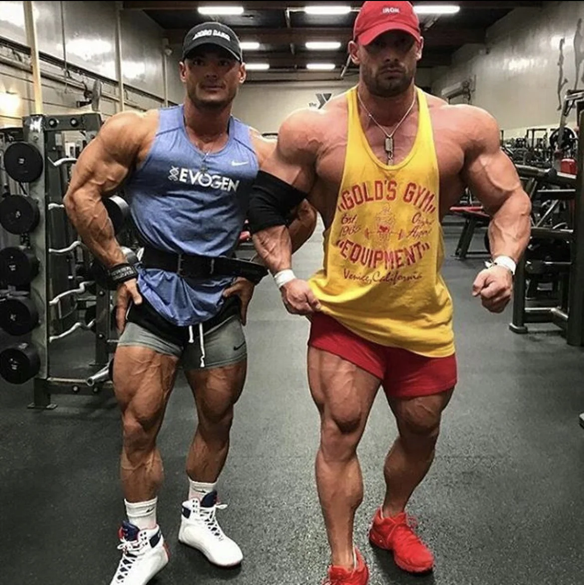 BUY TRENBOLONE XT LABS