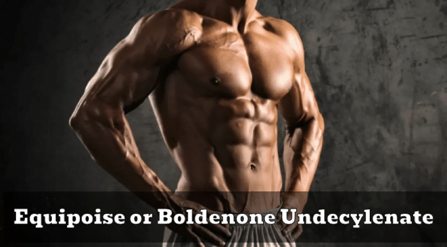 Buy Boldenone Human Pharma 