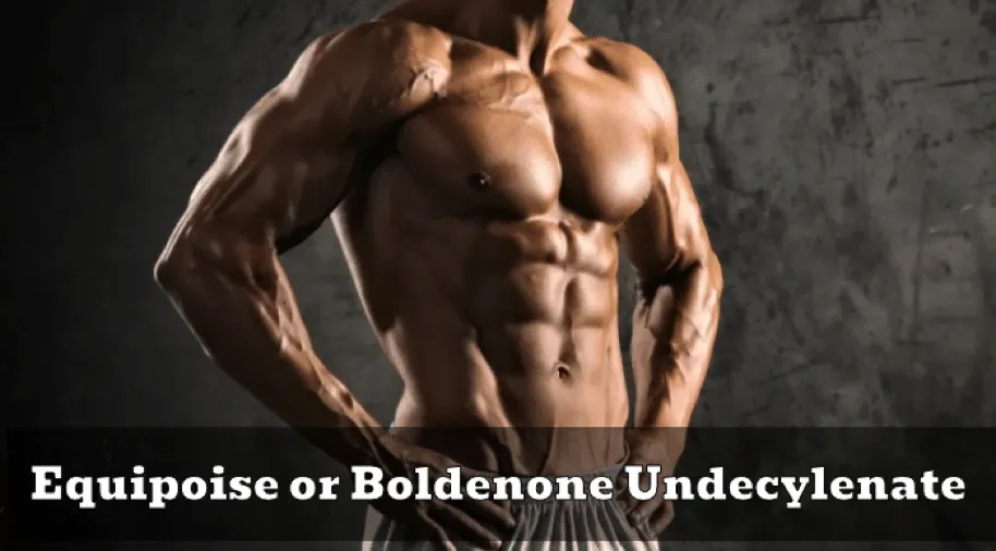 Buy Boldenone Human Pharma