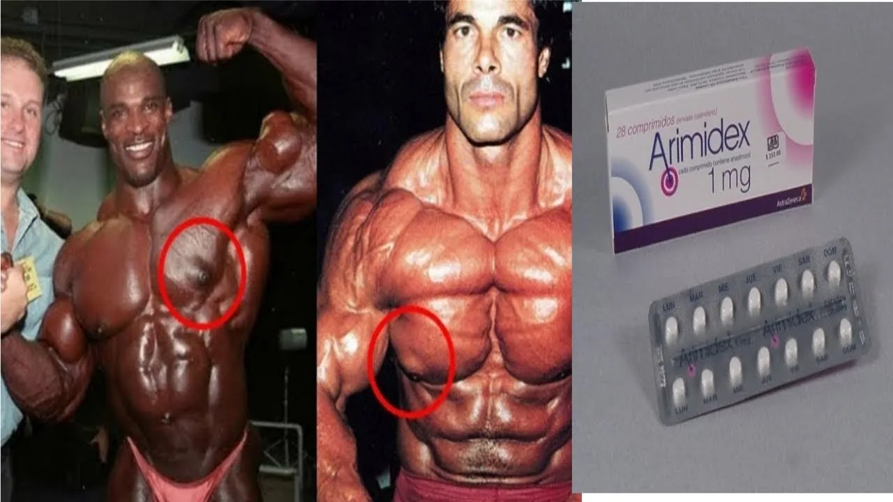 Buy Arimidex Human Pharma