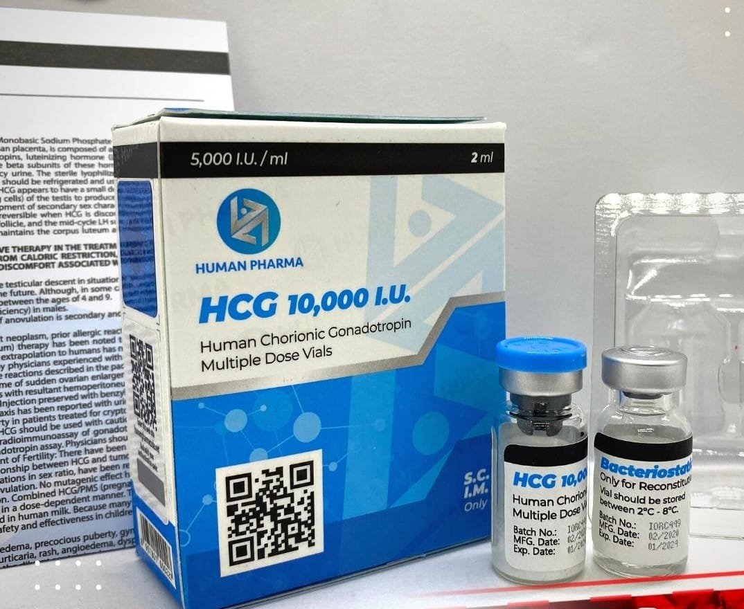 Chorionic Gonadotropin for Sale, Human Pharma Gonadotropin,