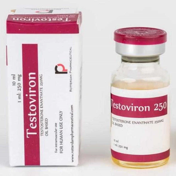 Rotterdam Testoviron, Testoviron Rotterdam, Testoviron 250 Rotterdam 10 ml, Testoviron for sale, Testoviron 250 Testosterone Enanthate for sale