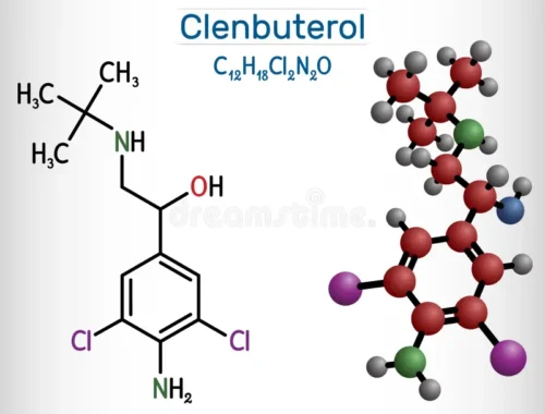 Clenbuterol Pills 40mcg (50 pills) Rotterdam